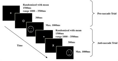 Executive Control in Depressive Rumination: Backward Inhibition and Non-inhibitory Switching Performance in a Modified Mixed Antisaccade Task